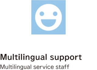 Multilingual support