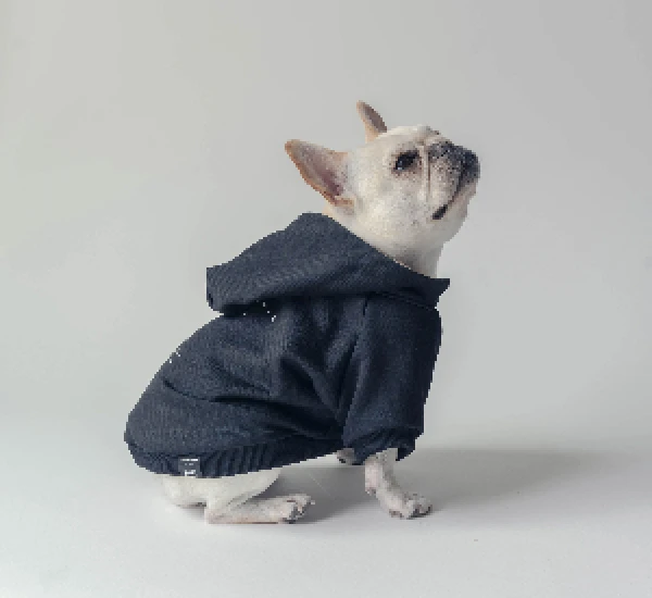 HOT DOG STUDIO：FRENCHIE RUE／フーディー