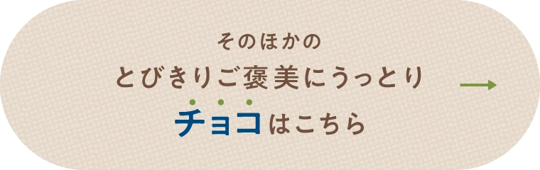 そのほかのとびきりご褒美にうっとりチョコはこちら