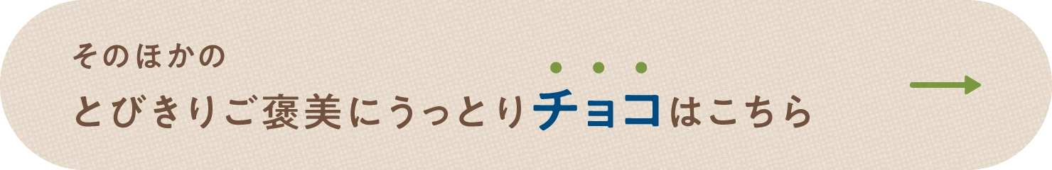 そのほかのとびきりご褒美にうっとりチョコはこちら