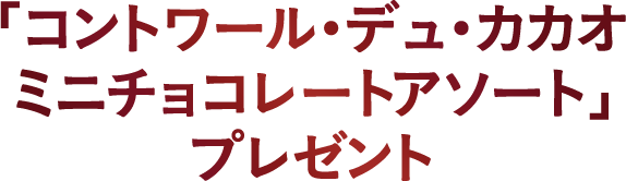 「コントワール・デュ・カカオ ミニチョコレートアソート」プレゼント